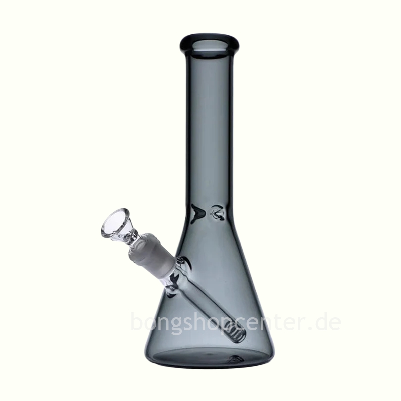 Beaker Bong Everyday Essentials 10 Zoll